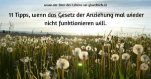 Tipps zum Gesetz der Anziehung