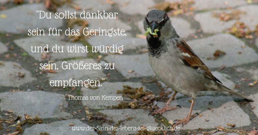 Dankbarkeit