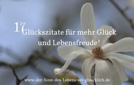 Zitate Archive Der Sinn Des Lebens Sei Gluecklich