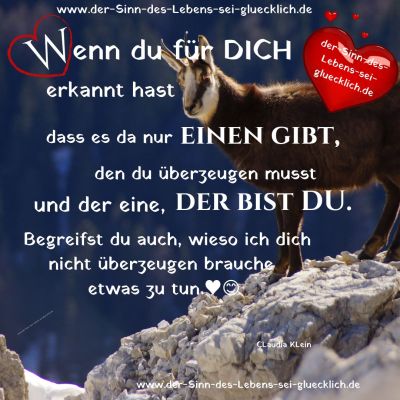 Glück finden Glück finden