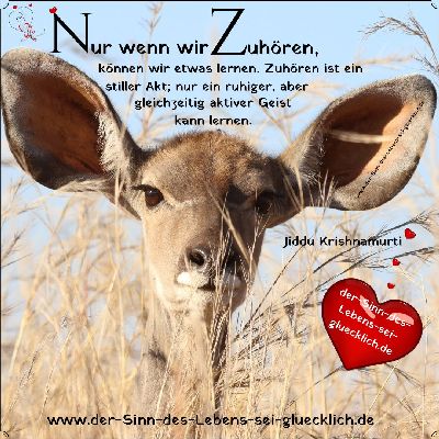 Jiddu Krishnamurti ~ Zitate 2