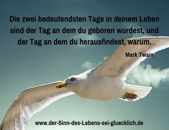 Sinn des Lebens Zitate / 33 Zitate zum Nachdenken