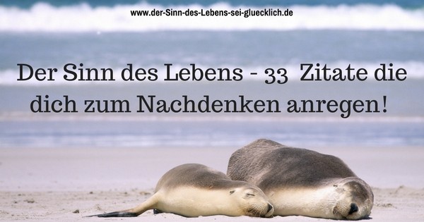 Sinn Des Lebens Zitate 33 Zitate Zum Nachdenken