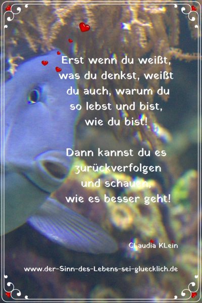 Spruch 72