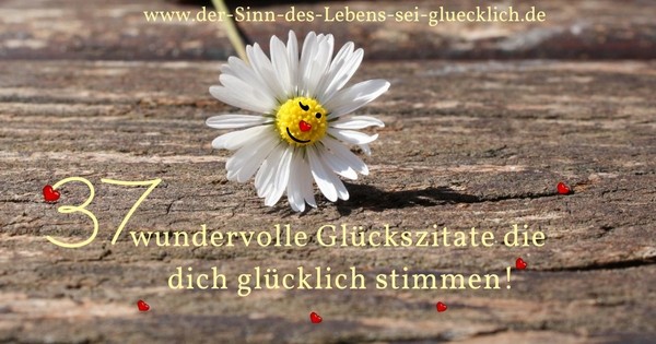 Zitate Glück 37 Glückszitate Mit Fotos So Wundervoll Und - 